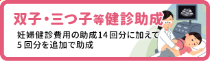 双子・三つ子等の妊婦健診助成