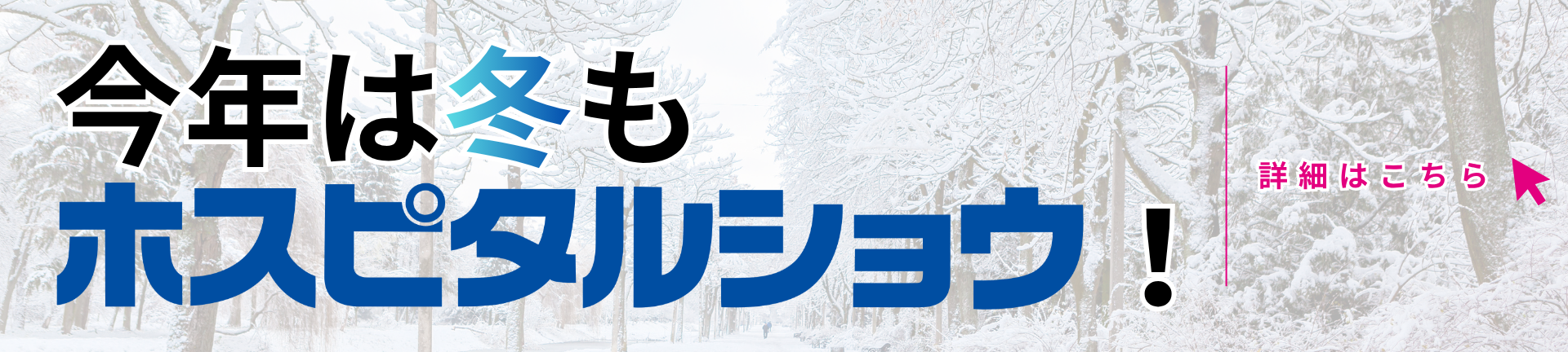 ホスピタルショウオンライン in Winter